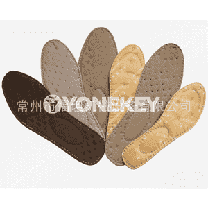 Ultrasonik insol enjamy