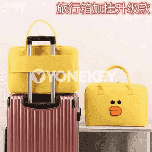 Zenanlar üçin niýetlenen syýasat sumka.