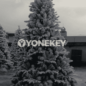 Täze ýyl bezegi üçin arça