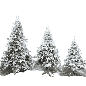 Täze ýyl bezegi üçin arça