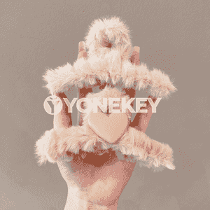 Zenanlar üçin täze saç aksessuarlary