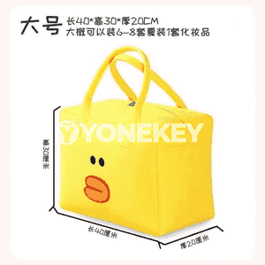 Zenanlar üçin niýetlenen syýasat sumka.