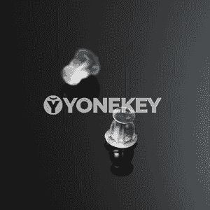 Gyzlar üçin 10 jübüt gulakhalkalara dakylýan silikon.