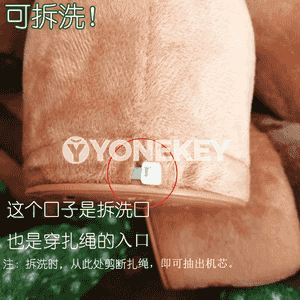 Çagajyklar üçin kaktus oýunjak 