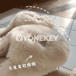 Gyzlar üçin gyş öý aýakgaplary.