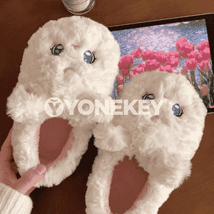 Gyzlar üçin gyş öý aýakgaplary.