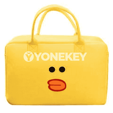 Zenanlar üçin niýetlenen syýasat sumka.