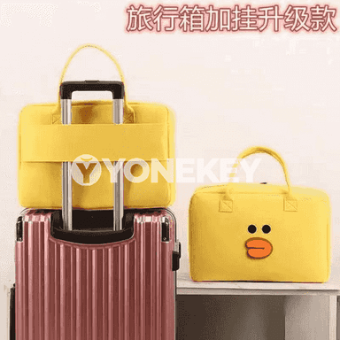 Zenanlar üçin niýetlenen syýasat sumka.