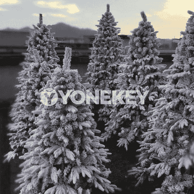 Täze ýyl bezegi üçin arça