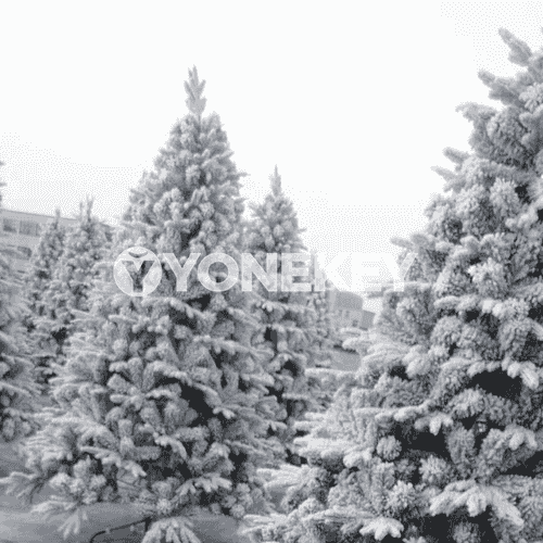 Täze ýyl üçin niýetlenen bezeg arçasy