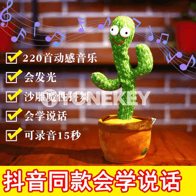 Çagajyklar üçin kaktus oýunjak 