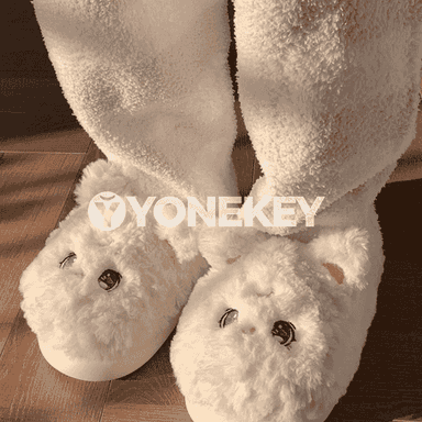 Gyzlar üçin gyş öý aýakgaplary.