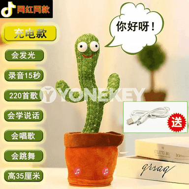 Çagajyklar üçin kaktus oýunjak 