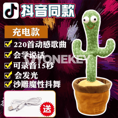 Çagajyklar üçin kaktus oýunjak 