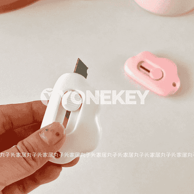 Kanselýar mini pyçagy 