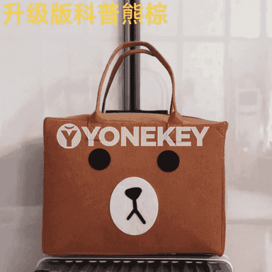 Zenanlar üçin niýetlenen syýasat sumka.