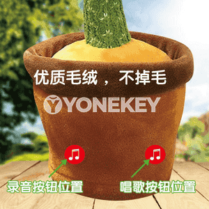 Çagajyklar üçin kaktus oýunjak 