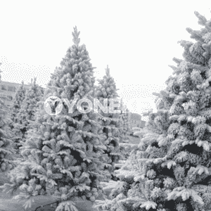 Täze ýyl üçin niýetlenen bezeg arçasy